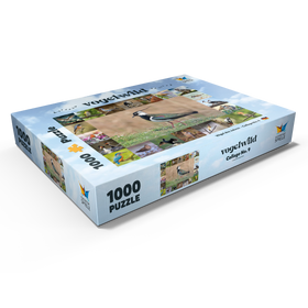 Alternative Darstellung des Puzzle-Motivs Vögel des Jahres - Collage Nr.9 - Hauptmotiv: Kiebitz – Puzzleteile: 1000