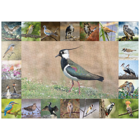 Darstellung des Puzzle-Motivs Vögel des Jahres - Collage Nr.9 - Hauptmotiv: Kiebitz – Puzzleteile: 1000