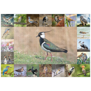 puzzleplate Vögel des Jahres - Collage Nr.9 - Hauptmotiv: Kiebitz 1000 Puzzle
