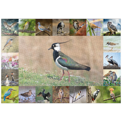 puzzleplate Vögel des Jahres - Collage Nr.9 - Hauptmotiv: Kiebitz 1000 Puzzle