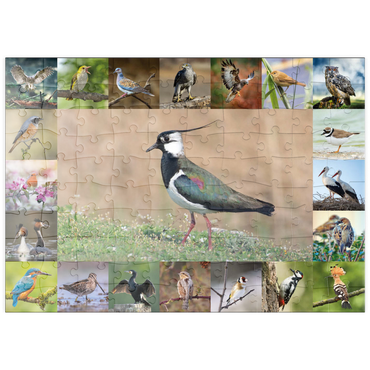puzzleplate Vögel des Jahres - Collage Nr.9 - Hauptmotiv: Kiebitz 100 Puzzle