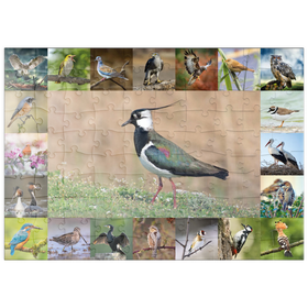 Darstellung des Puzzle Motivs Vögel des Jahres - Collage Nr.9 - Hauptmotiv: Kiebitz - Puzzleteile: 100