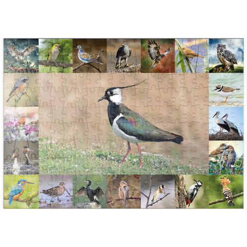 puzzleplate Vögel des Jahres - Collage Nr.9 - Hauptmotiv: Kiebitz 200 Puzzle