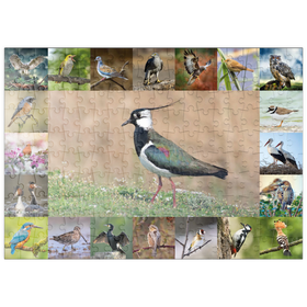 Darstellung des Puzzle Motivs Vögel des Jahres - Collage Nr.9 - Hauptmotiv: Kiebitz - Puzzleteile: 200