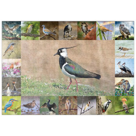 Darstellung des Puzzle-Motivs Vögel des Jahres - Collage Nr.9 - Hauptmotiv: Kiebitz – Puzzleteile: 500
