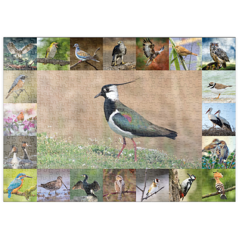 puzzleplate Vögel des Jahres - Collage Nr.9 - Hauptmotiv: Kiebitz 500 Puzzle