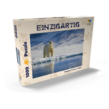 Bedrohte Tierarten: Eisbär in Spitzbergen -  Norwegen 1000 Puzzle Schachtel Ansicht2