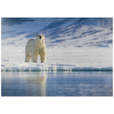 puzzleplate Bedrohte Tierarten: Eisbär in Spitzbergen -  Norwegen 1000 Puzzle