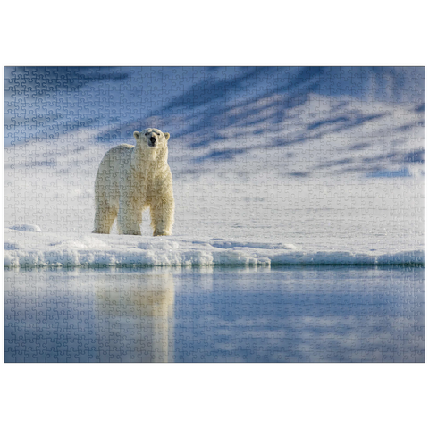 puzzleplate Bedrohte Tierarten: Eisbär in Spitzbergen -  Norwegen 1000 Puzzle