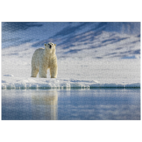 Darstellung des Puzzle Motivs Bedrohte Tierarten: Eisbär in Spitzbergen -  Norwegen - Puzzleteile: 1000
