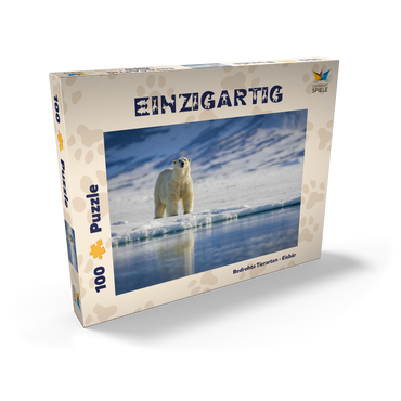 Bedrohte Tierarten: Eisbär in Spitzbergen -  Norwegen 100 Puzzle Schachtel Ansicht2
