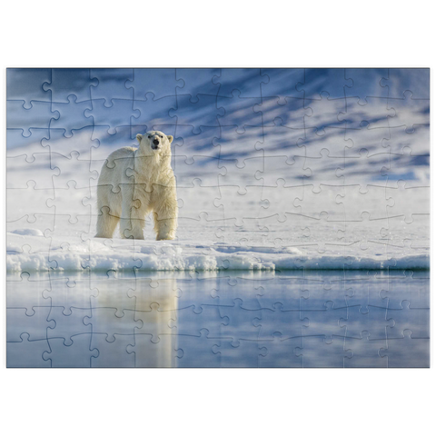 puzzleplate Bedrohte Tierarten: Eisbär in Spitzbergen -  Norwegen 100 Puzzle