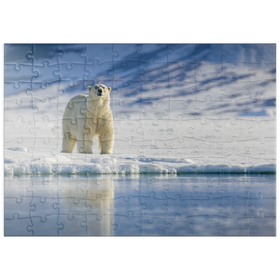 Darstellung des Puzzle Motivs Bedrohte Tierarten: Eisbär in Spitzbergen -  Norwegen - Puzzleteile: 100