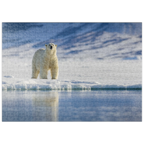 Darstellung des Puzzle Motivs Bedrohte Tierarten: Eisbär in Spitzbergen -  Norwegen - Puzzleteile: 500