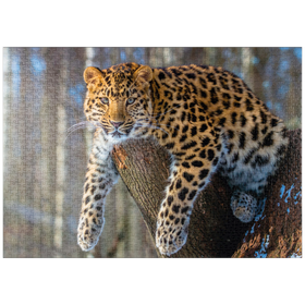 Darstellung des Puzzle Motivs Bedrohte Tierarten: Amur-Leopard - Puzzleteile: 1000