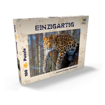 Bedrohte Tierarten: Amur-Leopard 100 Puzzle Schachtel Ansicht2