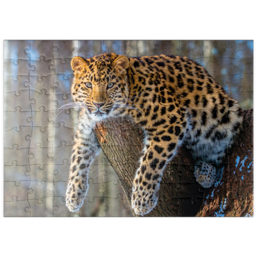 puzzleplate Bedrohte Tierarten: Amur-Leopard 100 Puzzle