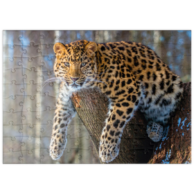 Darstellung des Puzzle Motivs Bedrohte Tierarten: Amur-Leopard - Puzzleteile: 100
