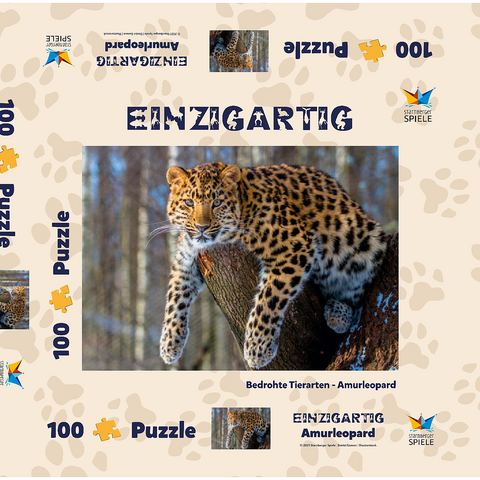 Bedrohte Tierarten: Amur-Leopard 100 Puzzle Schachtel 3D Modell