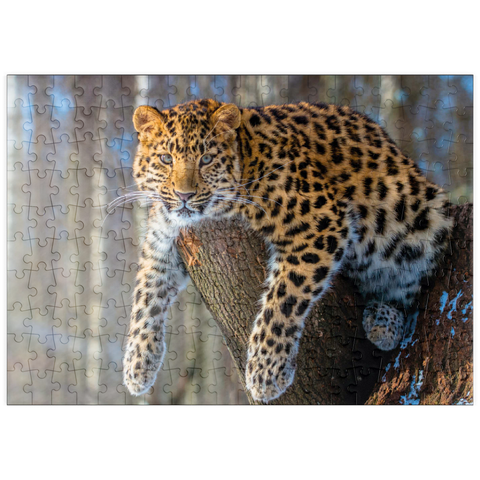 puzzleplate Bedrohte Tierarten: Amur-Leopard 200 Puzzle