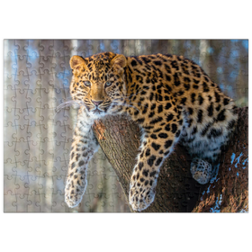 Darstellung des Puzzle Motivs Bedrohte Tierarten: Amur-Leopard - Puzzleteile: 200