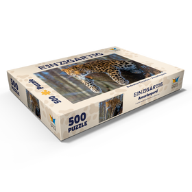 Alternative Darstellung des Puzzle-Motivs Bedrohte Tierarten: Amur-Leopard – Puzzleteile: 500