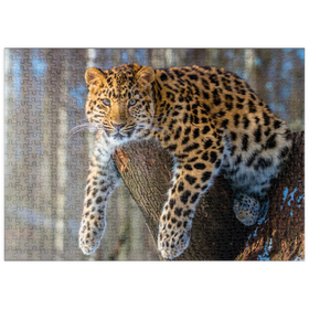 Darstellung des Puzzle Motivs Bedrohte Tierarten: Amur-Leopard - Puzzleteile: 500
