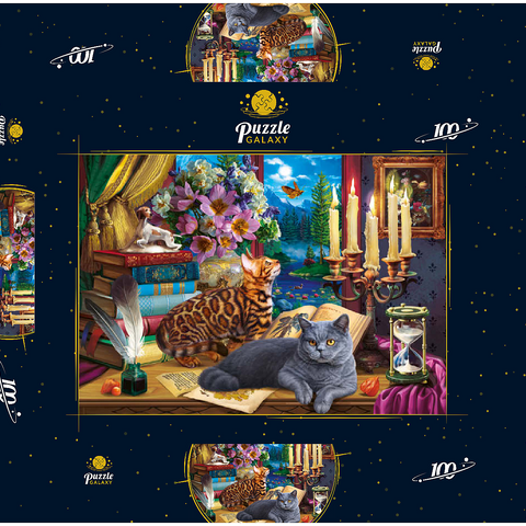 Cats Near the Window at Night 100 Puzzle Schachtel 3D Modell