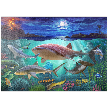 puzzleplate Sharks 1000 Puzzle