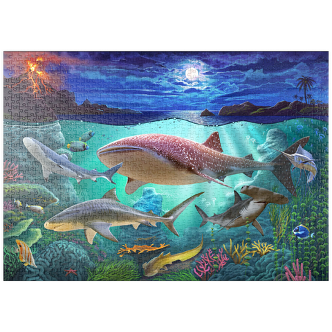 puzzleplate Sharks 1000 Puzzle