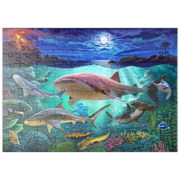 puzzleplate Sharks 100 Puzzle