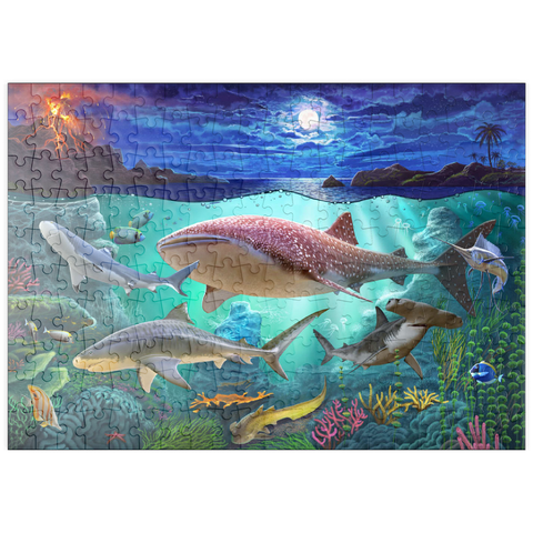 puzzleplate Sharks 200 Puzzle