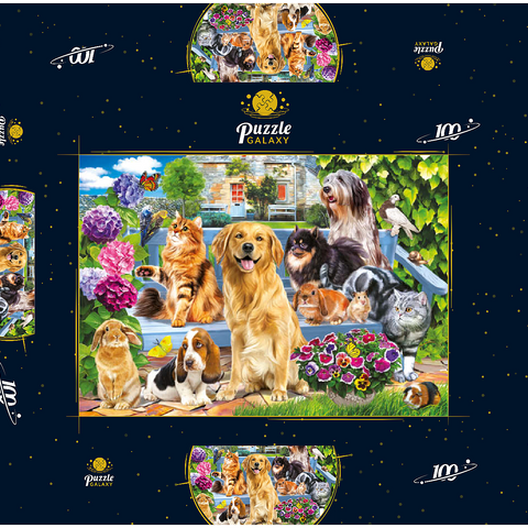 Pets 100 Puzzle Schachtel 3D Modell