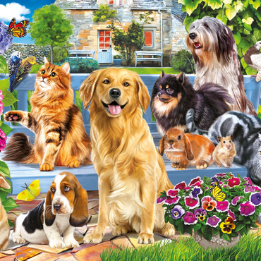 Pets 200 Puzzle 3D Modell