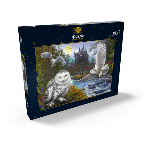 Snowy Owls 100 Puzzle Schachtel Ansicht2