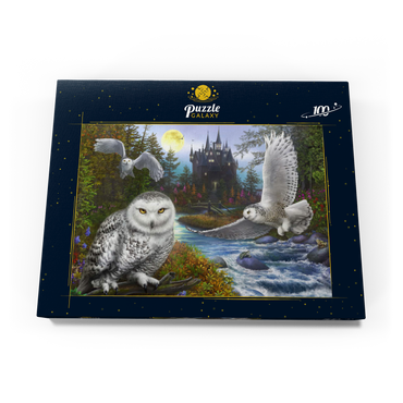 Snowy Owls 100 Puzzle Schachtel Ansicht3