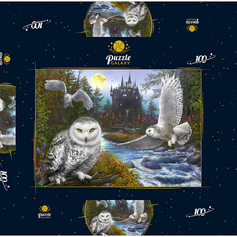 Snowy Owls 100 Puzzle Schachtel 3D Modell