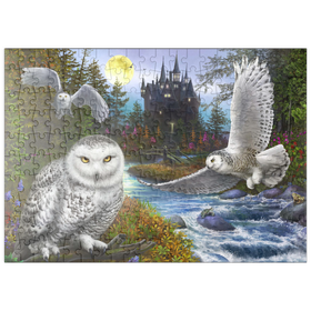 Darstellung des Puzzle-Motivs Schnee-Eulen und das Mondschloss – Puzzleteile: 200