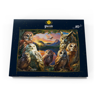 Owls at Sunset 100 Puzzle Schachtel Ansicht3