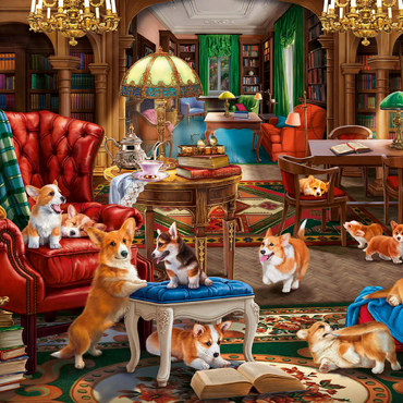 Corgi in the Library 500 Puzzle 3D Modell