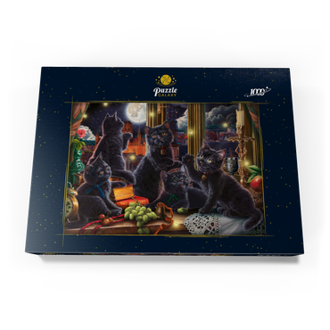 Black Kittens & Fireflies 1000 Puzzle Schachtel Ansicht3