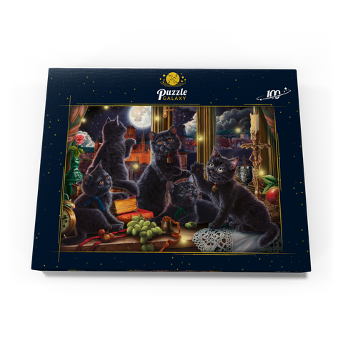 Black Kittens & Fireflies 100 Puzzle Schachtel Ansicht3