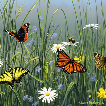 Wildflowers & Butterflies 1000 Puzzle 3D Modell