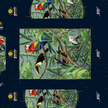 Papageien und Tukane im Regenwald 1000 Puzzle Schachtel 3D Modell