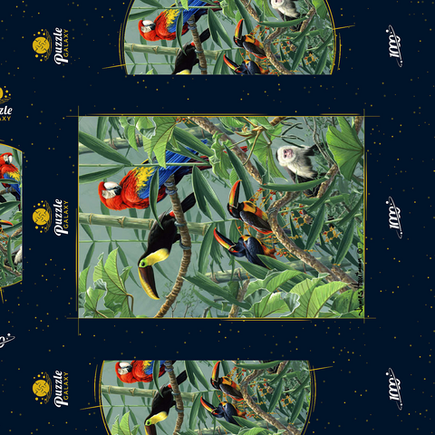 Papageien und Tukane im Regenwald 1000 Puzzle Schachtel 3D Modell