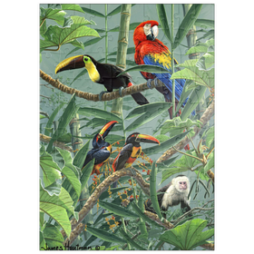 Darstellung des Puzzle Motivs Papageien und Tukane im Regenwald - Puzzleteile: 100