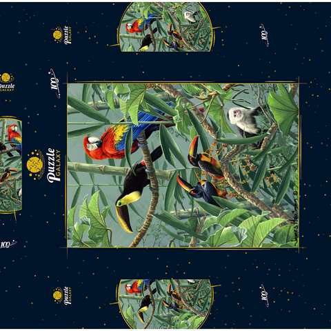 Papageien und Tukane im Regenwald 100 Puzzle Schachtel 3D Modell