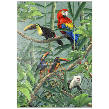puzzleplate Papageien und Tukane im Regenwald 200 Puzzle