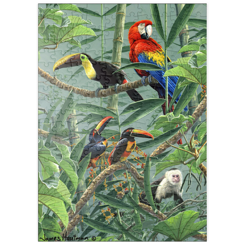 puzzleplate Papageien und Tukane im Regenwald 200 Puzzle