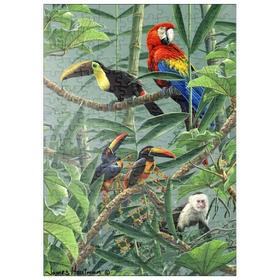 Darstellung des Puzzle Motivs Papageien und Tukane im Regenwald - Puzzleteile: 200